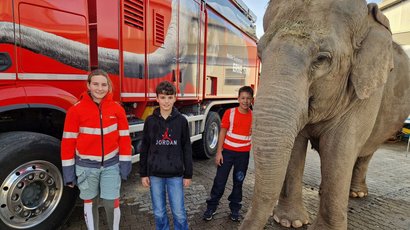 ERNEFANT & Knies Kinderzoo - zwei Berufswelten am Zukunftstag